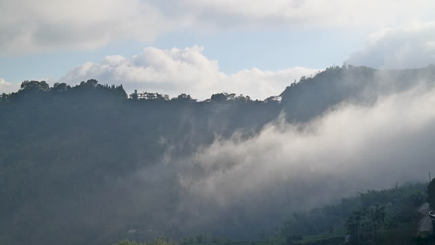 A spectacular view of buildings and mountain forest emerging above the dense, rolling fog in Zhuchi Township, Alishan, Chiayi, Taiwan. Crisp air on a bright winter morning.