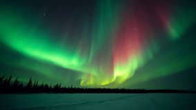A vibrant aurora borealis in shades of green and red illuminates the night sky above a snowy forest, creating a dramatic and mesmerizing polar landscape. - Powered by Shutterstock - Get 15% off with code: PIKWIZARD15