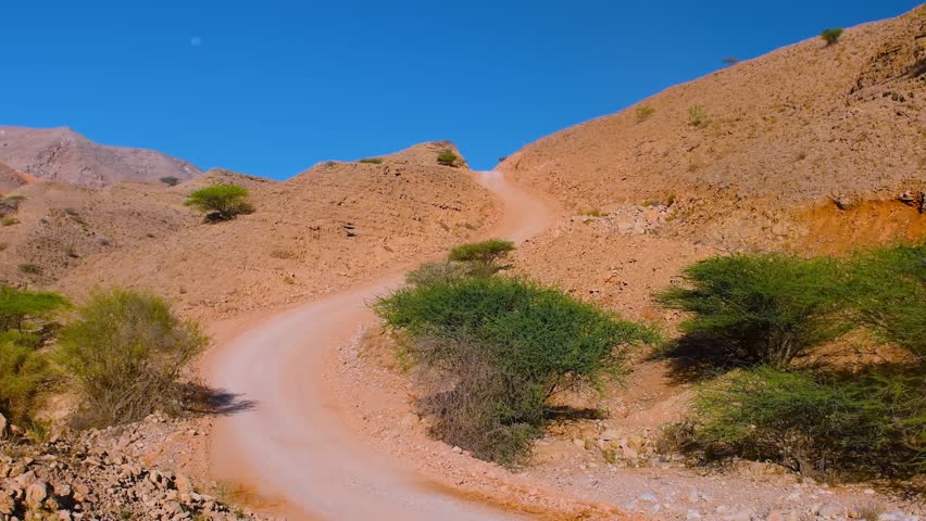 A winding dirt road snakes through the dry, rocky landscape of the Hajar Mountains in Oman. The rugged terrain is dotted with sparse, hardy green shrubs under a clear blue sky, capturing the raw, natu