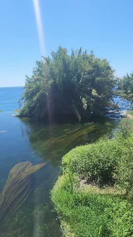 Scenic meeting point of river and coastal shoreline in summer with calm surface and plants, taken handheld. High quality FullHD footage
