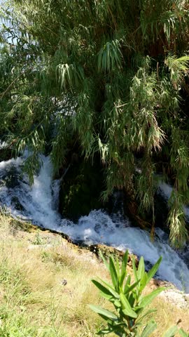 Natural landscape with stream cascading beside dense foliage and grass, summer vegetation and fresh flowing water captured outdoors, taken handheld, vertical video. High quality 4k footage