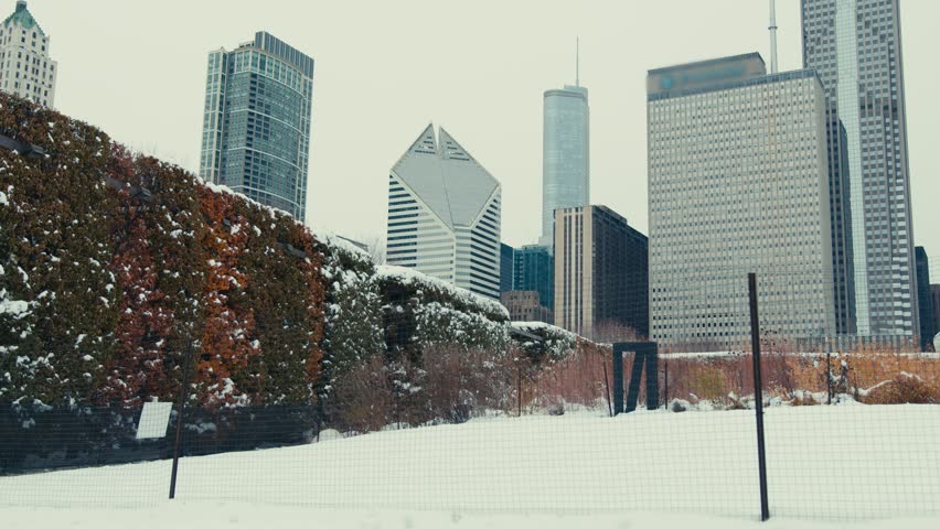 Beautiful snowy city of Chicago, a video with lots of snow against the background of high-rise buildings.