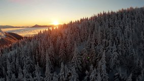 Aerial sunrise over snowy winter conifer forest on mountain slope above valley cloud inversion - Powered by Shutterstock - Get 15% off with code: PIKWIZARD15