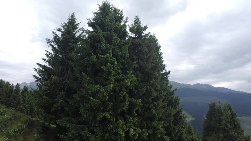 Explore the scenic mountain landscape with lush green trees, a cloudy sky and stunning views. Perfect for adventure and nature lovers. Enjoy the peace and beauty.