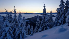 Morning time lapse view through snowy pine trees over cloud inversion and golden sunrise - Powered by Shutterstock - Get 15% off with code: PIKWIZARD15