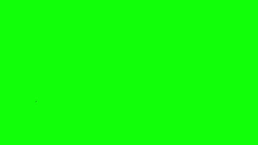 musical notes animation. music key pop up motion on green screen background. melody animated 4k chroma key