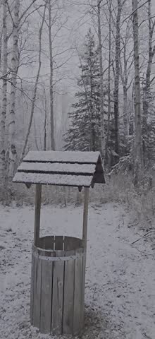 Snowfalls onto a wishing well with naked Birch trees and evergreen trees in the background