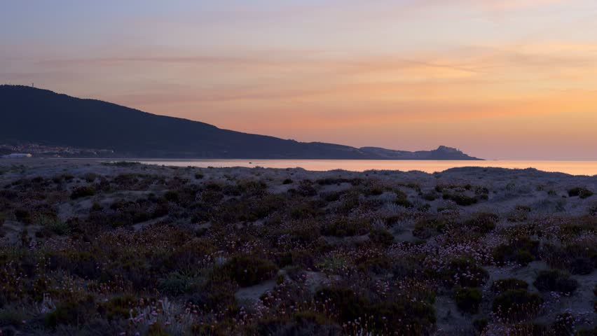 Beautiful beach with flowers in Sardinia at sunset with Castelsardo on the background, in Italy