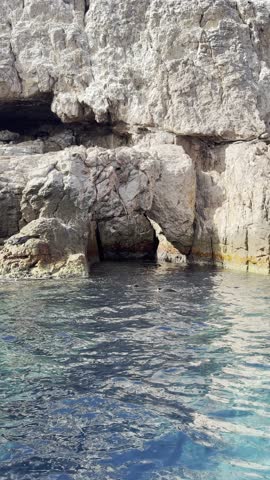 Portrait exterior view of a California sea lion swimming at the water surface in front of a reef cave in the Sea of Cortez, Baja California, Mexico, showing calm and curious coastal behavior.