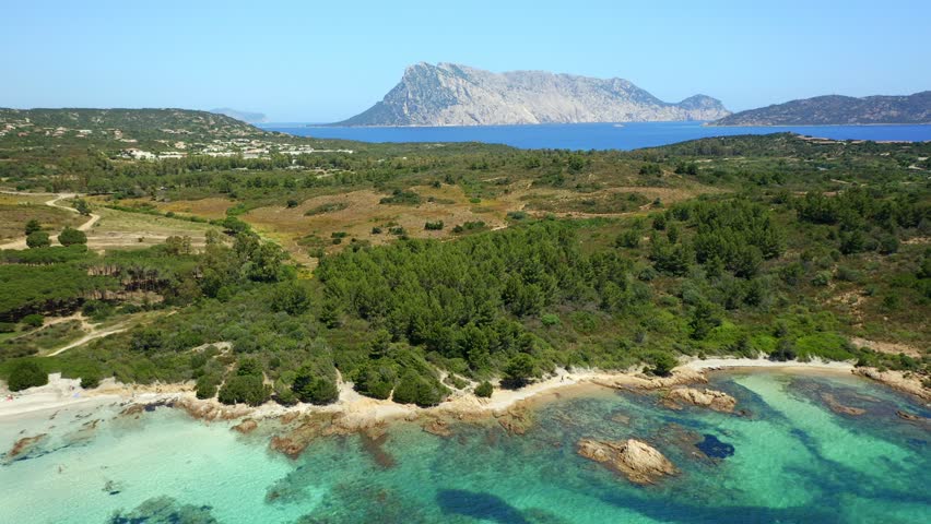 Drone aerial view of Brandinchi beach in Sardinia with white sand and turquoise water and Isola Molara islet in the background, Italy