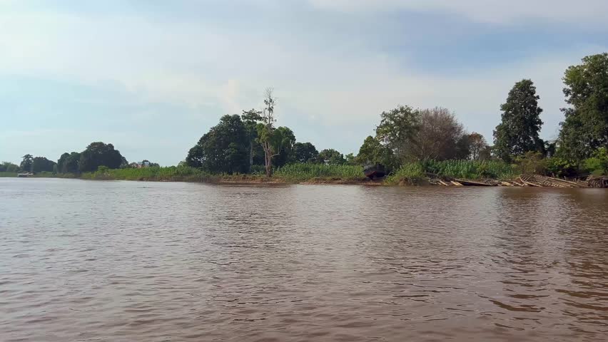 the Endangered Pesut Mahakam or Orcaella Brevirostris were spotted swimming in Pela River.