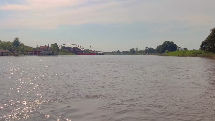 the Endangered Pesut Mahakam or Orcaella Brevirostris were spotted swimming in Pela River.
