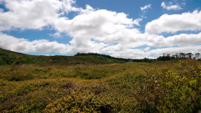 Craters of the Moon scrubland under clouds