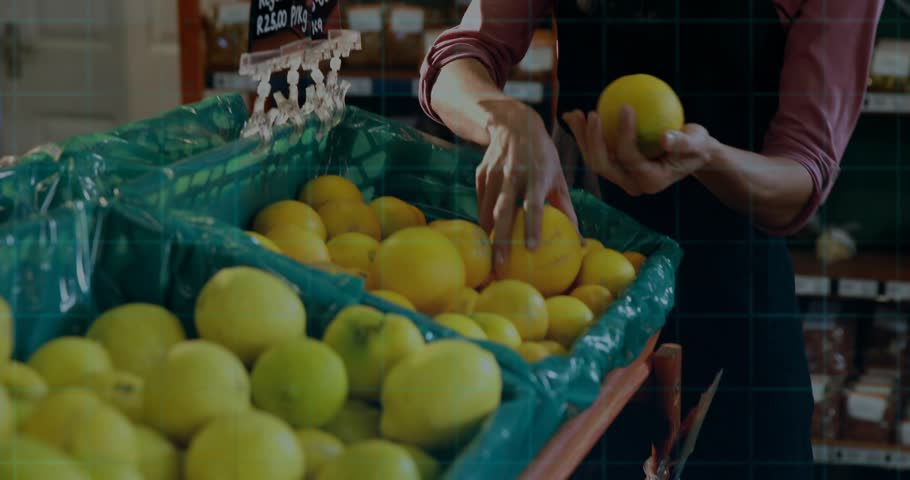Camera focusing on produce bin, vendor sorting oranges for display while HUD overlay obscuring face. Woman, retail, rustic, grocery, citrus, crate, apron