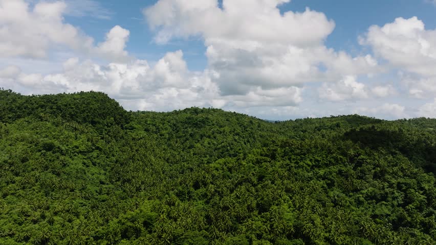 Dense green forest covering hills under partly cloudy tropical sky. Siargao, Philippines.