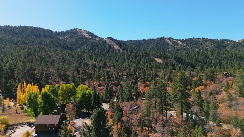 Drone view of autumn forest and cabins in Big Bear mountains