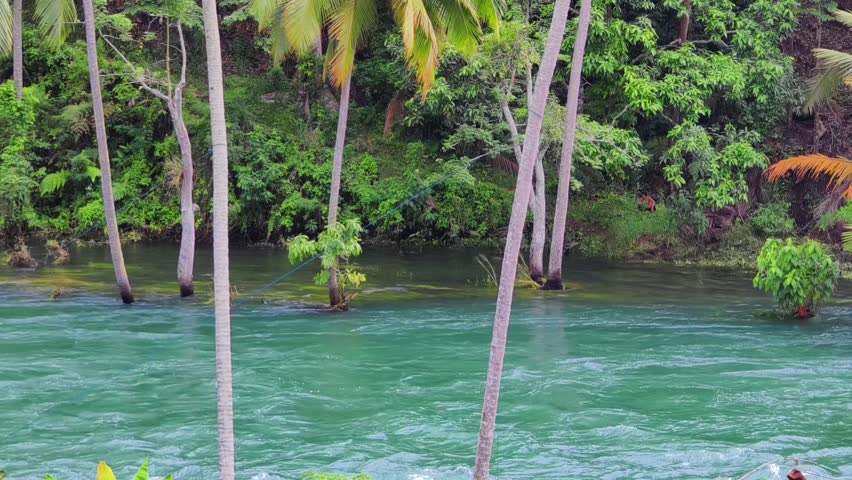  tropical island with palm trees