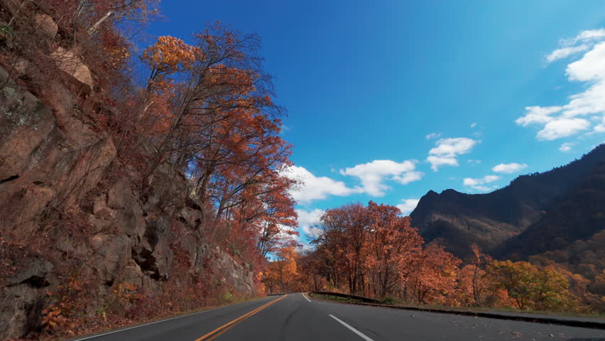 Drive through a vibrant autumn forest, with colorful fall foliage surrounding a winding mountain road. Tall trees in shades of red, orange, and yellow line roadway. 