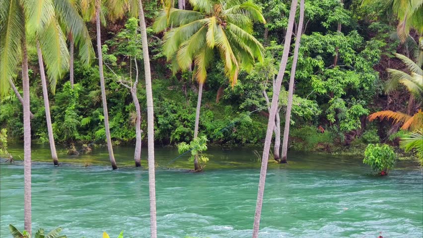  tropical island with palm trees