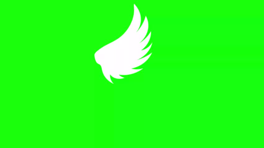 bird wings flapping animated bird wings flying bird wings animation 4k looping green screen