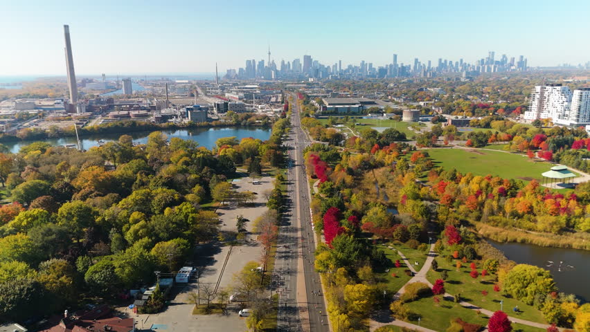 TORONTO, ONTARIO - OCTOBER 20, 2024: Marathon runners on Autumn road with Toronto skyline