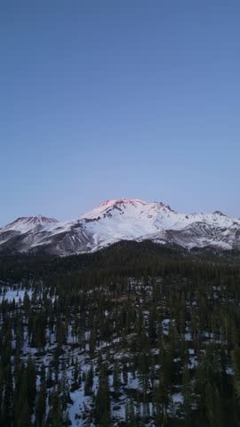Vertical 4K drone shot moving toward snow-capped Mount Shasta with soft pink sunset light on the peak and forest in foreground