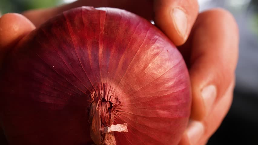 Close-up of a red onion being partially sliced with a sharp knife in an outdoor kitchen. The focus is entirely on the onion and blade, highlighting texture, layers and precise cutting.