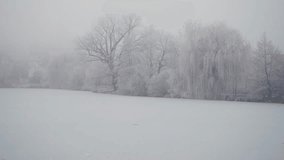 A frozen lake stretches across the scene, bordered by trees coated in heavy frost, creating a calm winter landscape softened by mist in the distance. - Powered by Shutterstock - Get 15% off with code: PIKWIZARD15