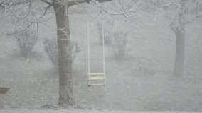 Frost outlines the branches of a garden tree as an empty swing dangles below, emphasizing the calm and slightly nostalgic atmosphere of early winter. - Powered by Shutterstock - Get 15% off with code: PIKWIZARD15