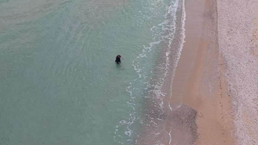 Aerial drone view of a person using a metal detector on the beach, searching along the shoreline in calm coastal conditions.