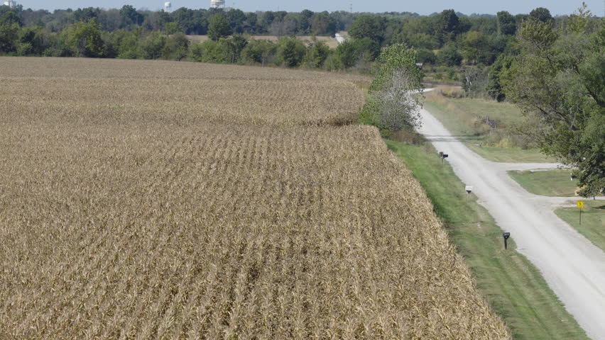 Corn Field With Brown Corn Stalks In Missouri, USA - Aerial Drone Shot