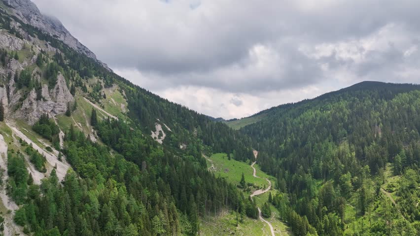 Cinematic aerial drone footage of Slovenia Alps. forest on cloudy summer day showing green mountain trees, peaceful atmosphere, natural landscape and calm outdoor alpine scenery