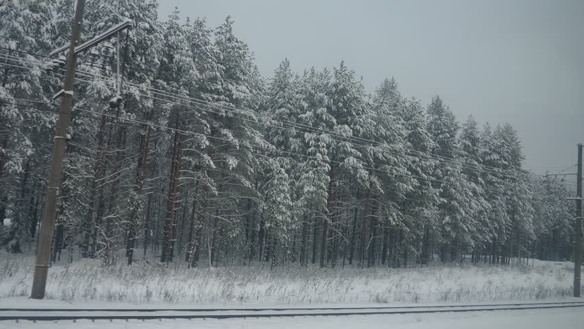 Snow covers the ground, trees, and power lines in a forest area. A train track runs through the snowy landscape under gray skies. Winter conditions are present throughout. Winter railroad journey