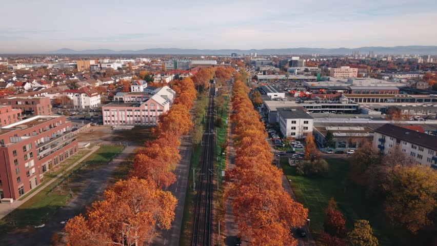 Cinematic Aerial View of Autumn Avenue with Tram Tracks and City Skyline in Mannheim Germany