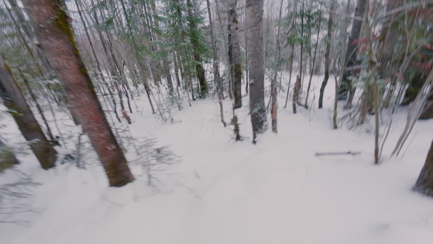 A tourist walks through a snowy forest and is looking for a courtyard. A man walks in the taiga in winter with an axe. From the first person.