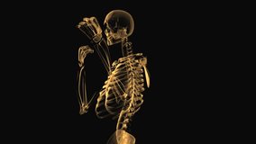 A captivating animation showcasing a skeleton in motion, highlighting the beauty and complexity of human anatomy. A unique blend of science and art. - Powered by Shutterstock - Get 15% off with code: PIKWIZARD15