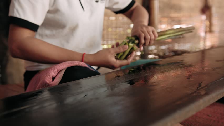 Skilled woman extracting fibers from lotus stems to create a rare and luxurious silk thread, Cambodia, Siem Reap 