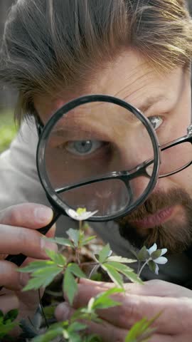 A person examines small plants closely using a magnifying glass in a forest area