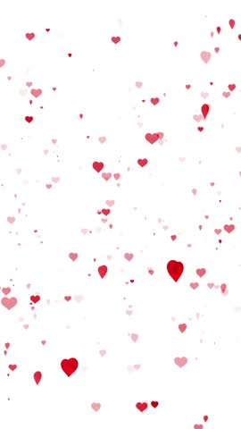 Floating Red Heart Particles on White Background for Love Romantic animation soft red pink hearts floating background love affection for Valentine s Day celebration , wedding slideshows, romantic