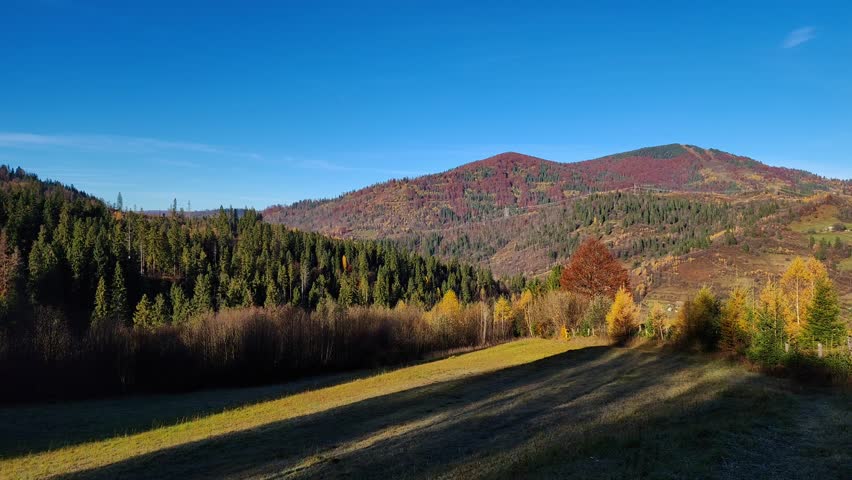 Footage of autumn mountain landscape with rolling hills, colorful forests, and long shadows under clear blue sky in Slavsko, Lviv region, Ukraine.