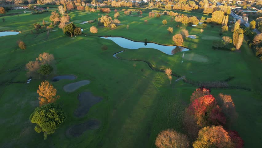 Aerial video of autumn trees with red and yellow leaves on a green meadow, vibrant colors and a natural atmosphere. 