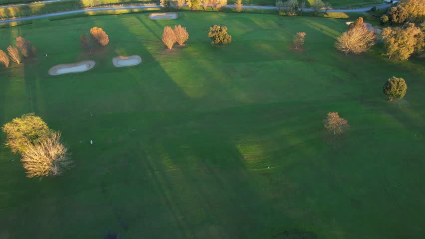 Aerial video of autumn trees with red and yellow leaves on a green meadow, vibrant colors and a natural atmosphere. 