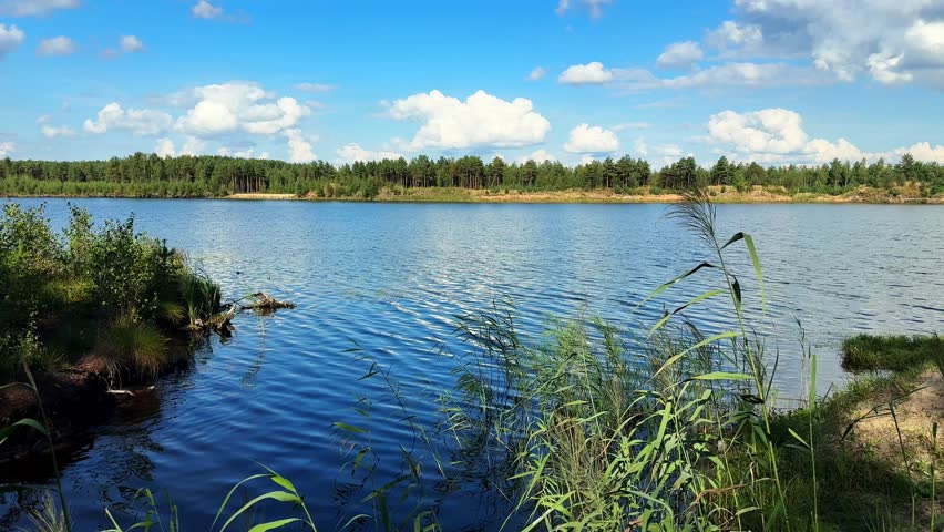 A Serene Lakeside View Capturing the Tranquility of Nature with Lush Greenery, Still Waters, and a Bright Blue Sky Full of Fluffy Clouds, Finland