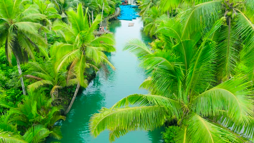 Aerial view of the Maasin River flowing through dense green palm tree jungle, with people on a wooden platform and small boats, Maasin River, Philippines.