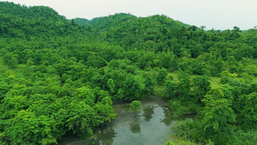 Dense green Atlantic Forest covers rolling hills and a small pond under an overcast sky, Serra do Mar Mountains, Ubatuba, Sao Paulo, Brazil.