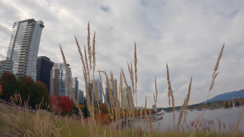 Coal Harbor Seawall Autumn Colours 4K UHD.Fall colors in Coal Harbour next to the Vancouver Convention Centre environmentally friendly green roof. 4K UHD.
