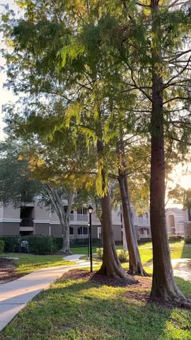Warm evening light filters through tall trees beside an apartment walkway and lamppost. Green lawn, shadows, and a nearby pond create a peaceful residential setting.