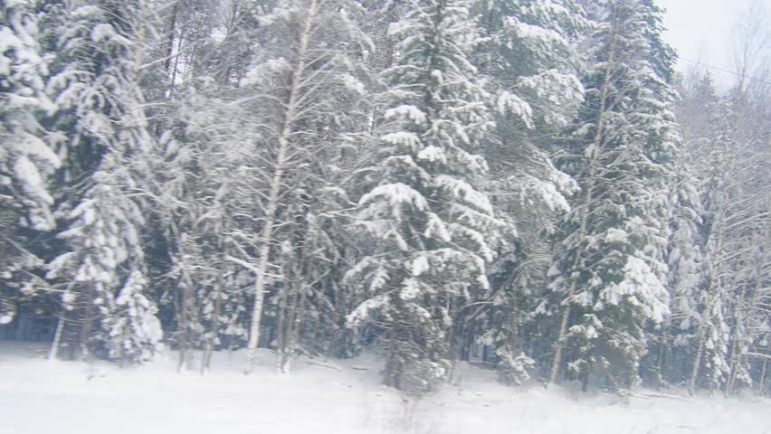 Snow covers the ground, trees, and power lines in a forest area. A train track runs through the snowy landscape under gray skies. Winter conditions are present throughout. Winter railroad journey