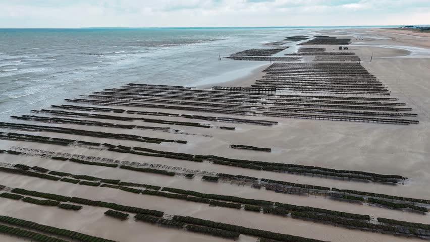 Aerial drone view of an oyster farm on Normandy coast of France. High quality 4k footage