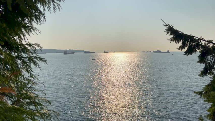 
Cargo ships anchor in English Bay viewed through autumn trees from Siwash Lookout in Stanley Park, Vancouver
